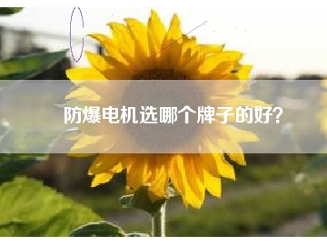 防爆電機(jī)選哪個(gè)牌子的好？
