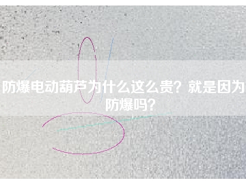 防爆電動葫蘆為什么這么貴？就是因為能防爆嗎？