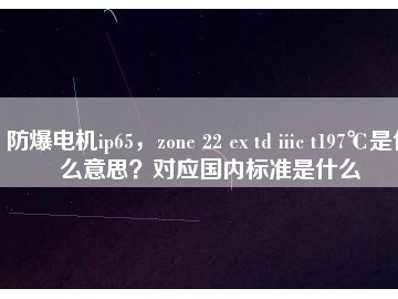 防爆電機(jī)ip65，zone 22 ex td iiic t197℃是什么意思？對(duì)應(yīng)國內(nèi)標(biāo)準(zhǔn)是什么