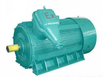 防爆電機(jī)如何出現(xiàn)掃膛、振動(dòng)、軸承過(guò)熱要怎么處理