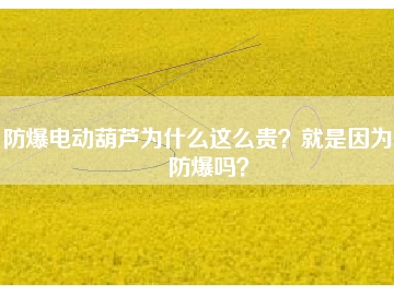 防爆電動葫蘆為什么這么貴？就是因為能防爆嗎？
