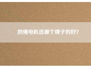 防爆電機(jī)選哪個牌子的好？
