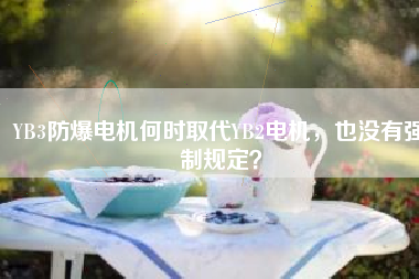 YB3防爆電機(jī)何時(shí)取代YB2電機(jī)，也沒有強(qiáng)制規(guī)定？