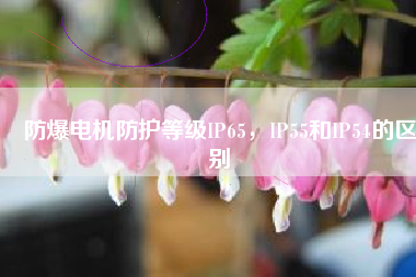防爆電機(jī)防護(hù)等級(jí)IP65，IP55和IP54的區(qū)別