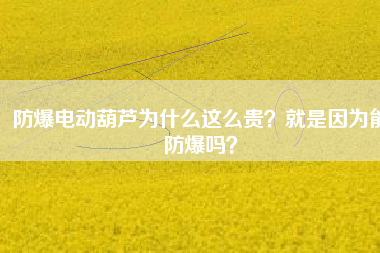 防爆電動葫蘆為什么這么貴？就是因為能防爆嗎？