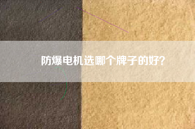 防爆電機(jī)選哪個(gè)牌子的好？