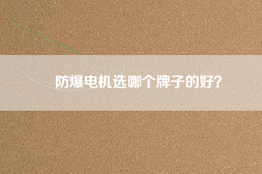 防爆電機(jī)選哪個(gè)牌子的好？