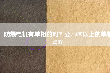 防爆電機(jī)有單相的嗎？要750W以上的單相220V