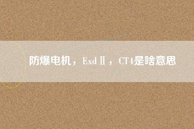 防爆電機，ExdⅡ，CT4是啥意思
